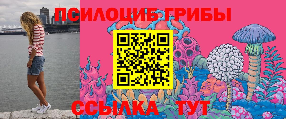 Псилоцибиновые грибы Cubensis Арзамас