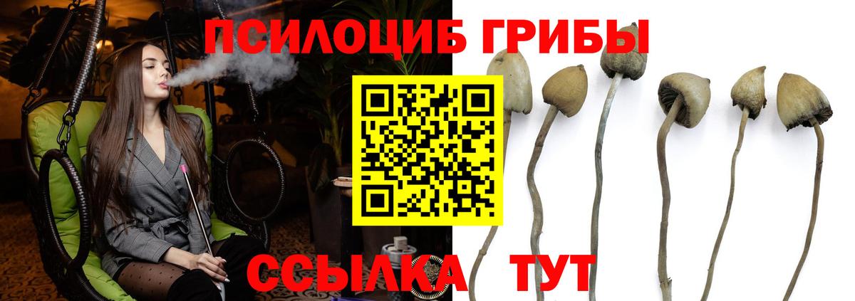 Арзамас  Псилоцибиновые грибы Psilocybe  Галлюциногенные грибы MAGIC MUSHROOMS  Вход с VPN 